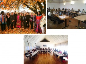 INWES Board Meeting-INWES Europe Meeting (201611)
